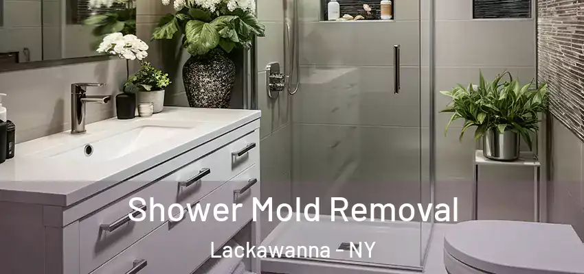  Shower Mold Removal Lackawanna - NY