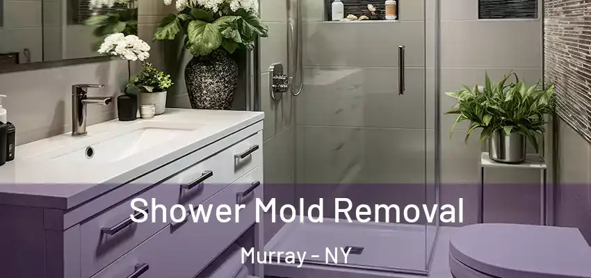  Shower Mold Removal Murray - NY