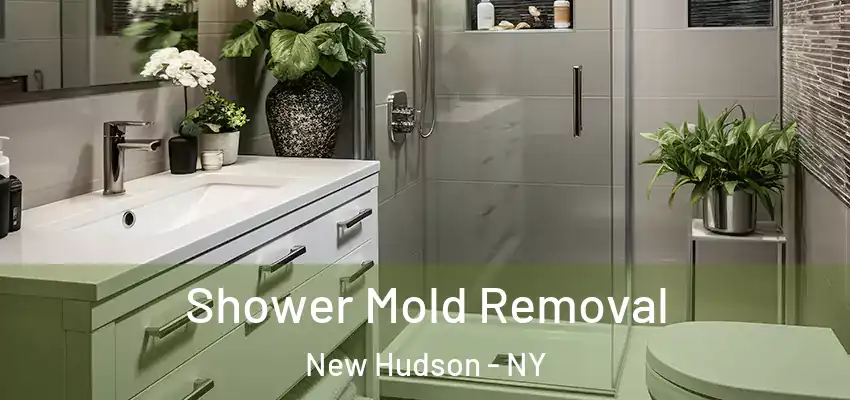  Shower Mold Removal New Hudson - NY