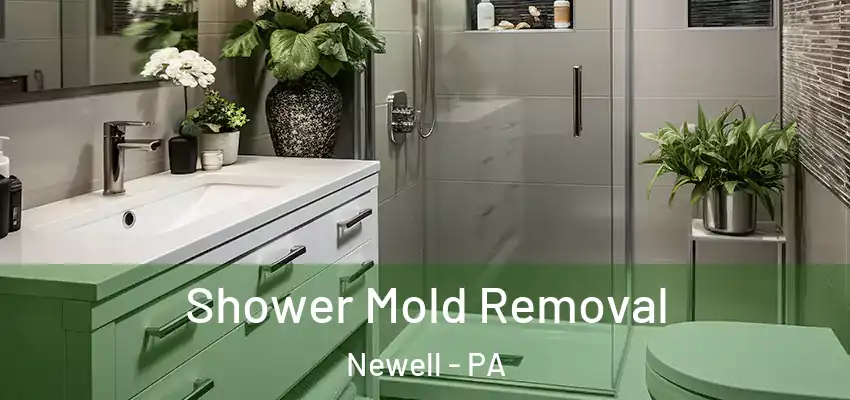 Shower Mold Removal Newell - PA