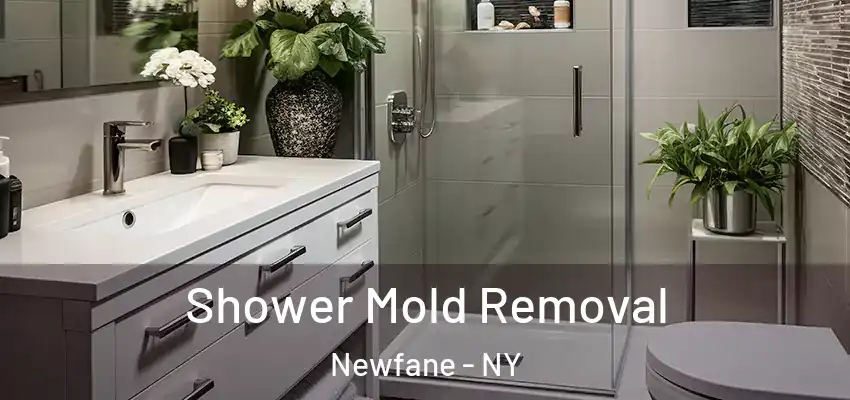  Shower Mold Removal Newfane - NY