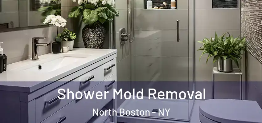  Shower Mold Removal North Boston - NY