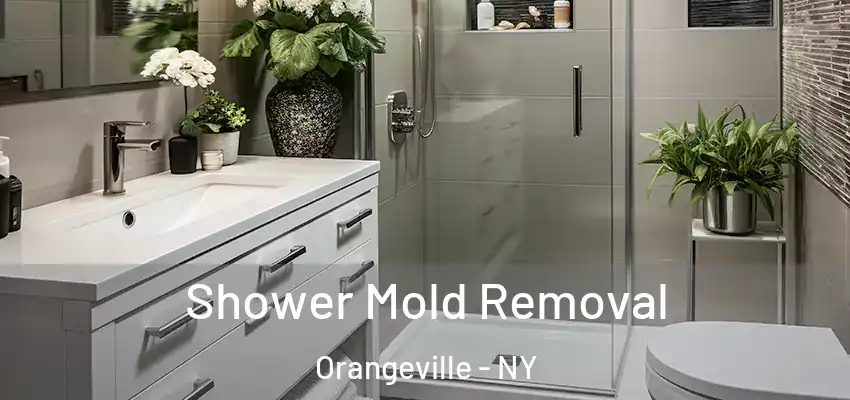  Shower Mold Removal Orangeville - NY