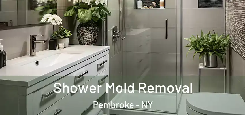  Shower Mold Removal Pembroke - NY