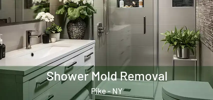  Shower Mold Removal Pike - NY