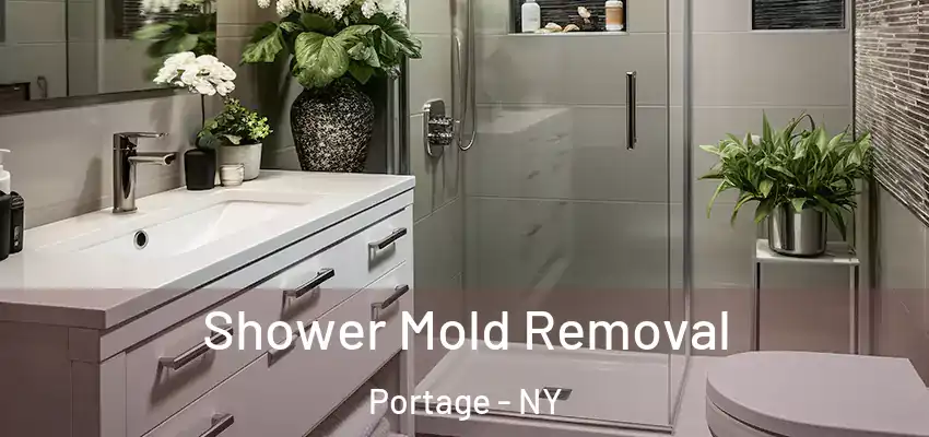  Shower Mold Removal Portage - NY