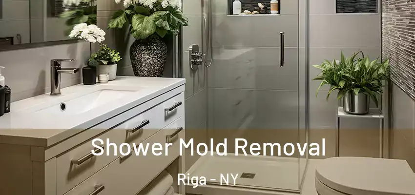 Shower Mold Removal Riga - NY