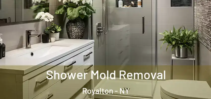  Shower Mold Removal Royalton - NY