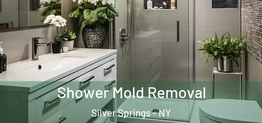  Shower Mold Removal Silver Springs - NY