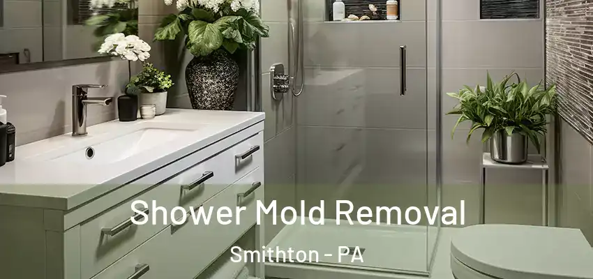  Shower Mold Removal Smithton - PA