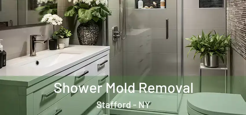  Shower Mold Removal Stafford - NY