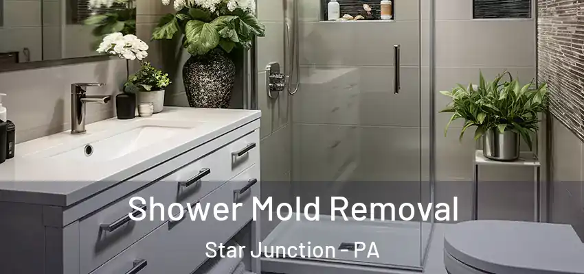  Shower Mold Removal Star Junction - PA