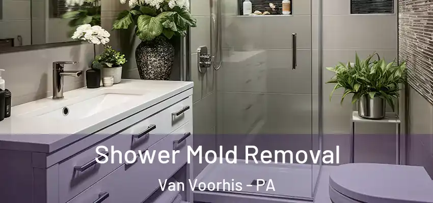  Shower Mold Removal Van Voorhis - PA