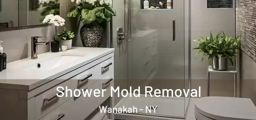  Shower Mold Removal Wanakah - NY