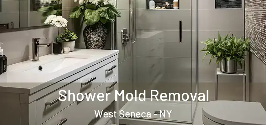  Shower Mold Removal West Seneca - NY