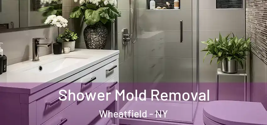  Shower Mold Removal Wheatfield - NY
